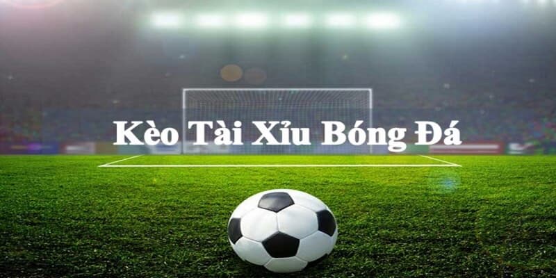 Trải nghiệm khó quên cùng kèo tài xỉu 1 1/4